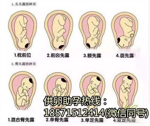 南京正规医院可以提供卵子吗,试管婴儿选男宝宝